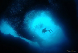 Diving with a huge school of sardines at Pescador Island by Nadya Kulagina 